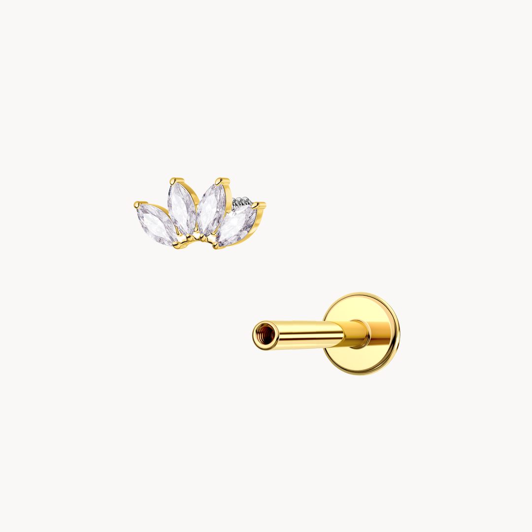 Marquise Cluster Flatback Stud - Lucky Eleven Jewellery