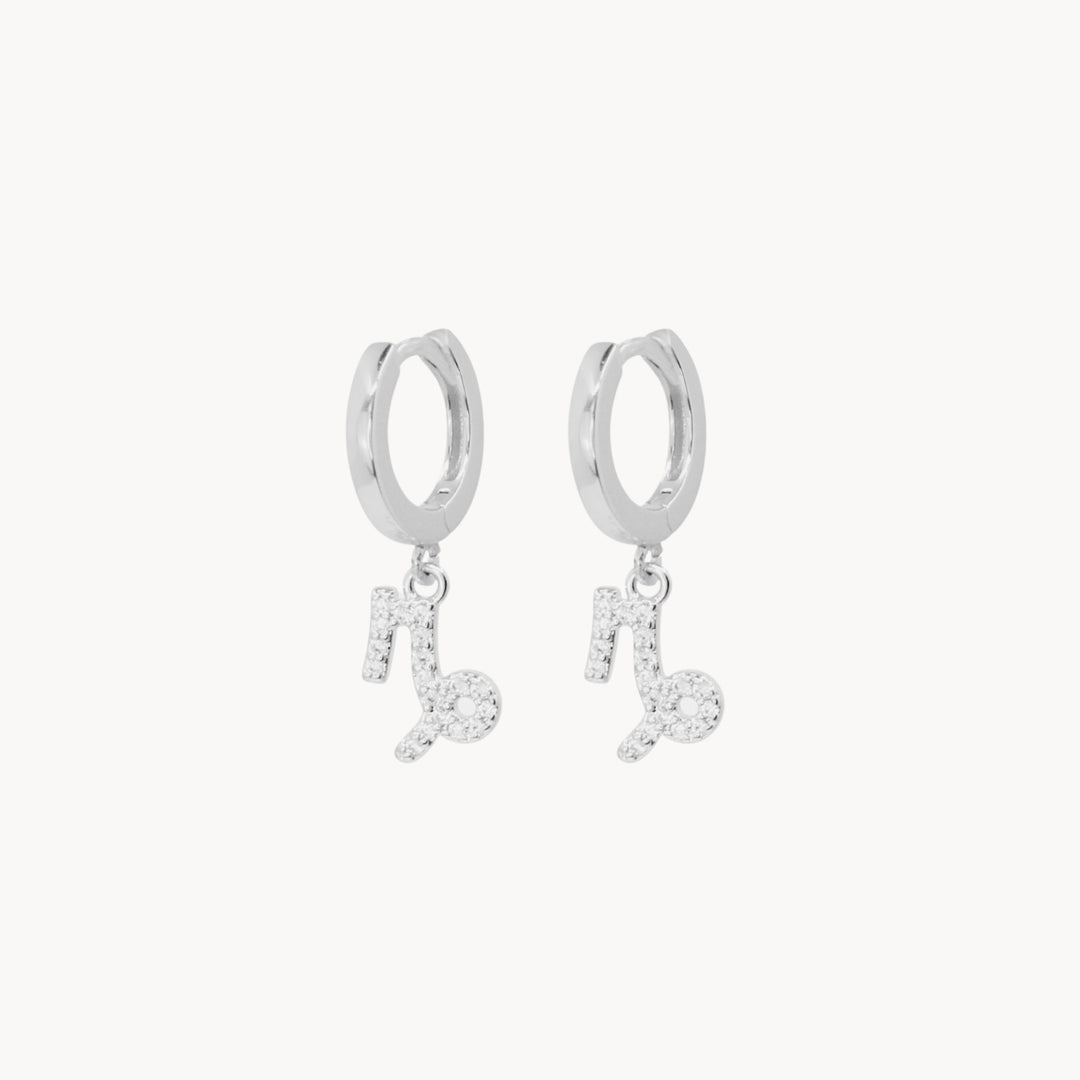 Crystal Zodiac Hoop Earrings - Lucky Eleven Jewellery
