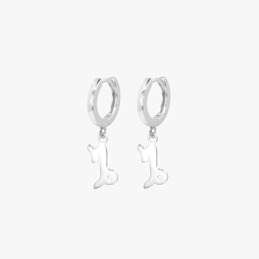 Zodiac Hoop Earrings - Lucky Eleven Jewellery