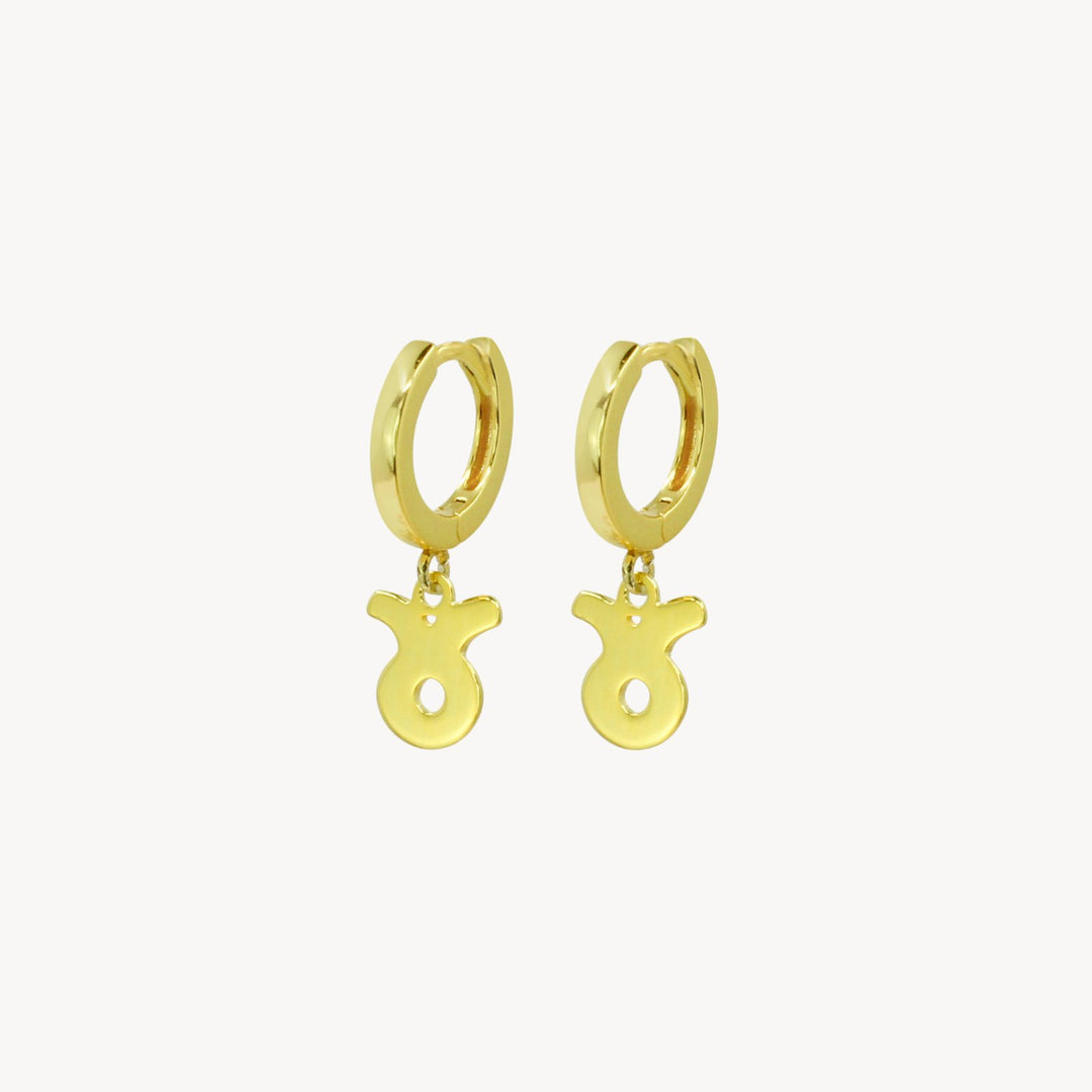 Zodiac Hoop Earrings - Lucky Eleven Jewellery