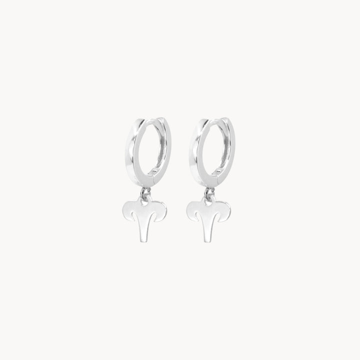 Zodiac Hoop Earrings - Lucky Eleven Jewellery