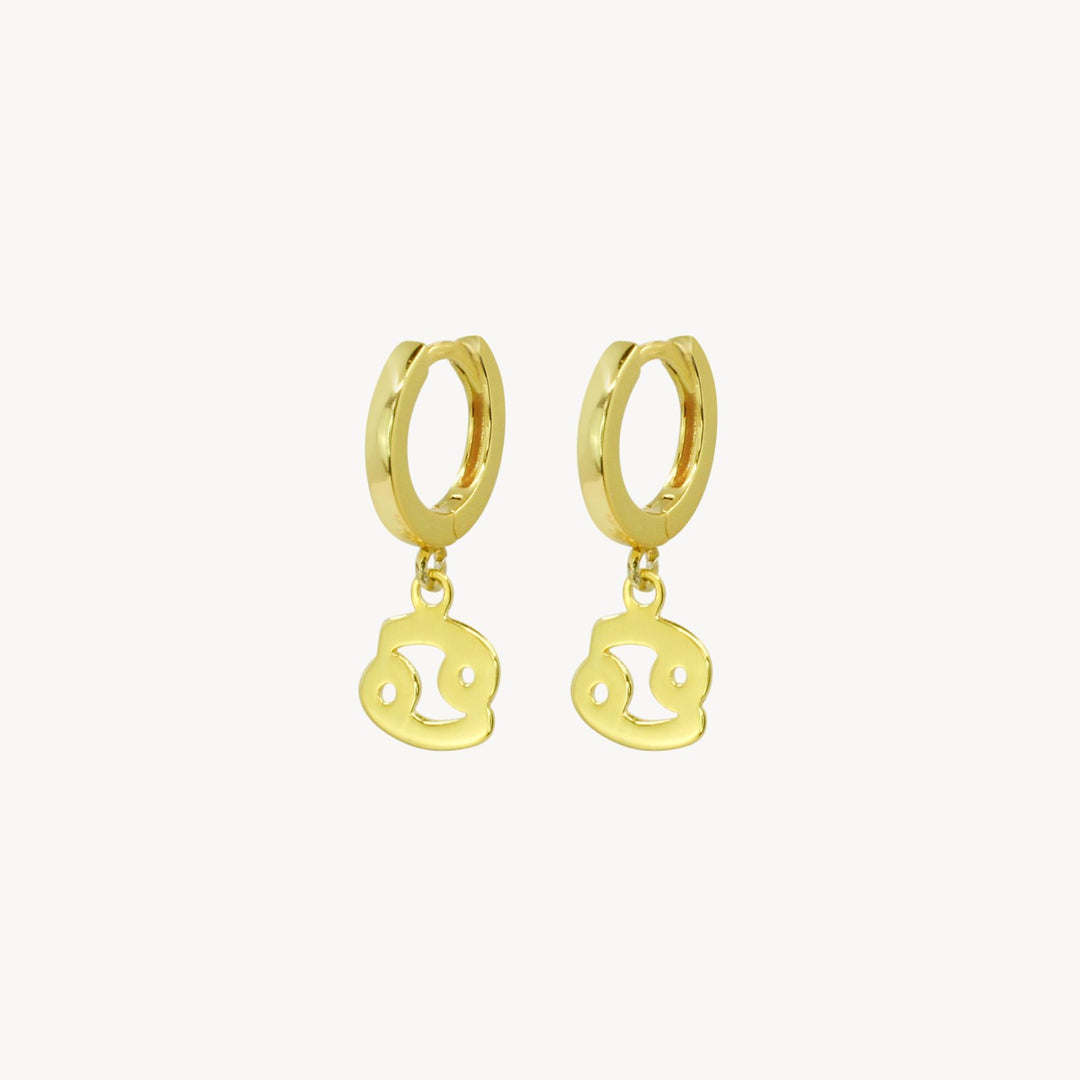 Zodiac Hoop Earrings - Lucky Eleven Jewellery